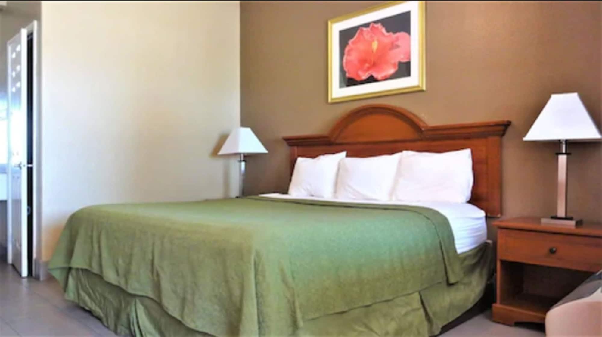 La Copa Inn McAllen Bagian luar foto